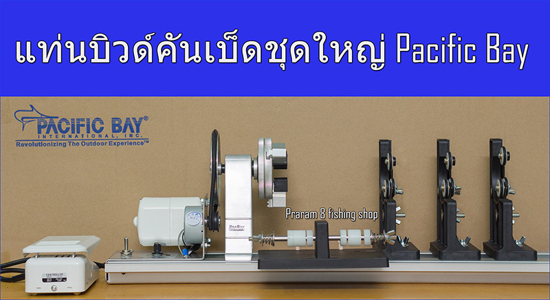 蹺Ǵѹ Pacificbay